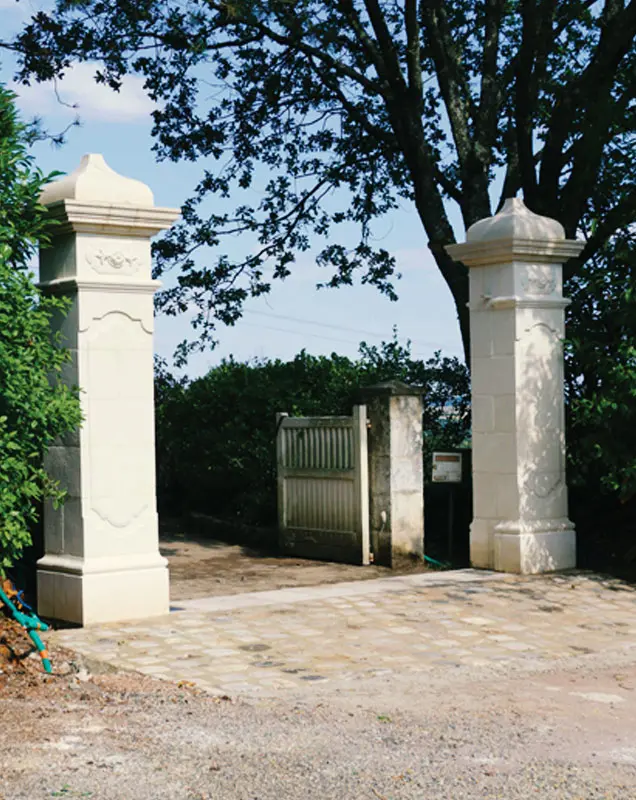 RENOUVO